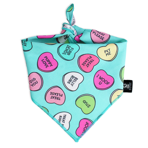 Valentines day gift guide for dogs valentines day dog bandana ripley and rue patchwork pet dog blog