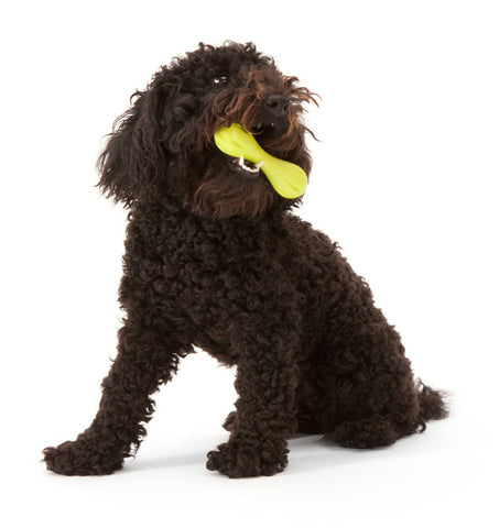 https://cdn.shopify.com/s/files/1/0074/4724/8947/files/West_Paw_Dog_Toys_Hurley_Bone_toy_large.jpg?v=1558707344