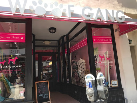 dog friendly guide to charleston woofgang bakery 