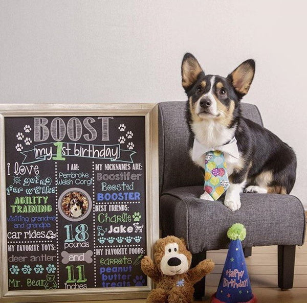 Dogs Birthday Chalkboard Sign