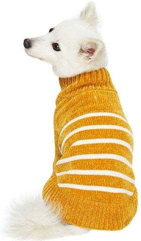 Fall gift guide for dog lovers mustard dog sweater 