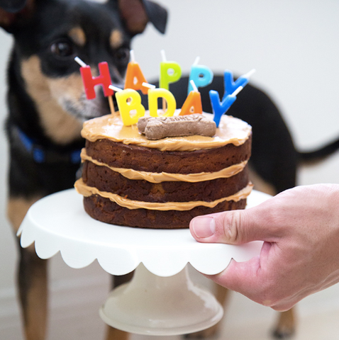 peanut butter aple dog birthday cake