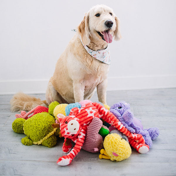 lot of dog toys