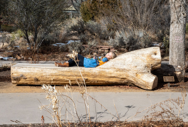 Biophilic bench at the Denver Botanic Gardens created by CS Woods