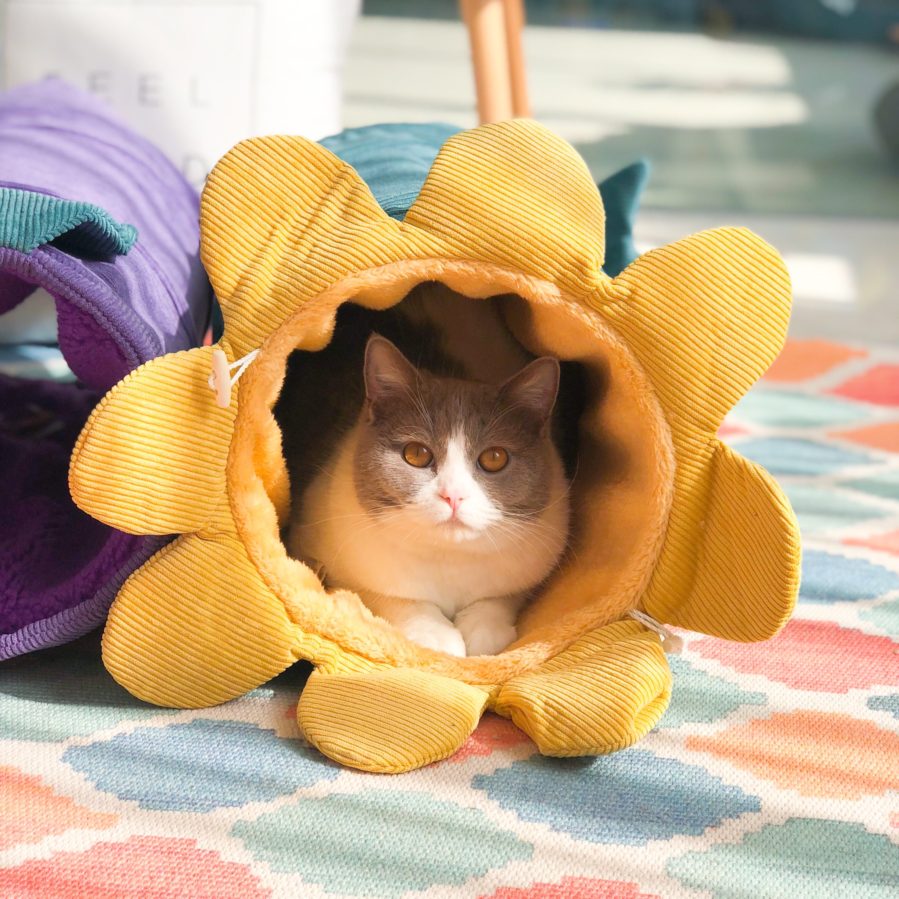 Sunflower Tunnel Indoor Pet Cushion 