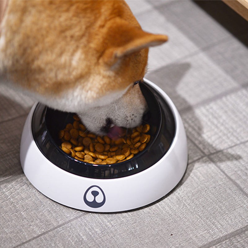 designer dog food bowls