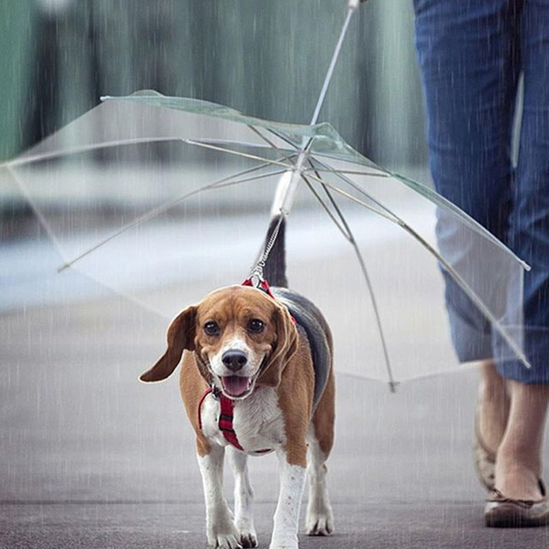umbrella for dog leash