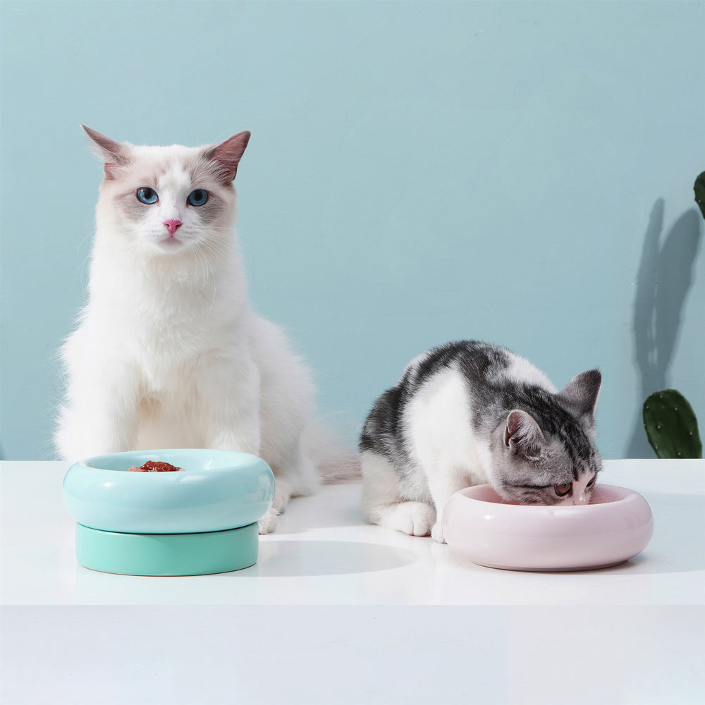 designer cat bowls