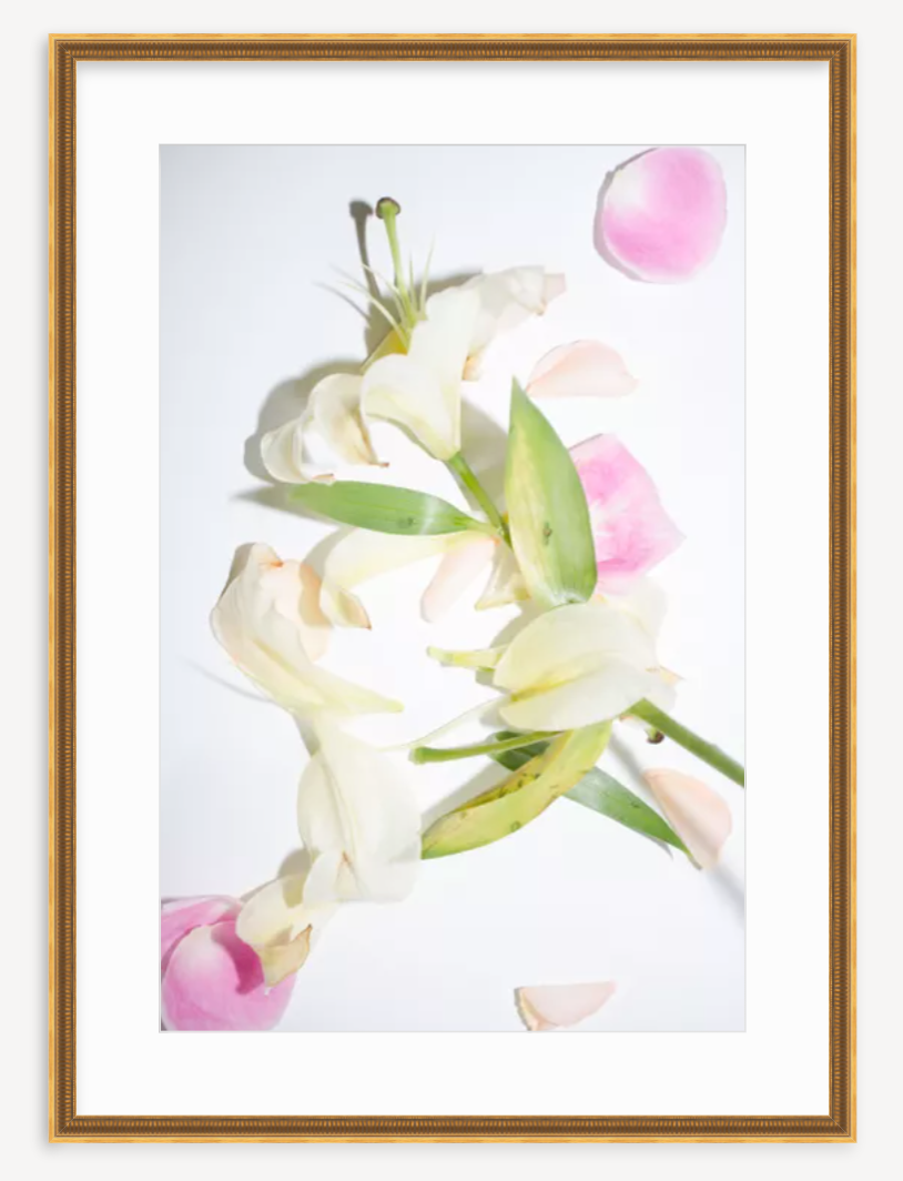 High Key Lily Black and White Floral Nat - Photograph Ebern Designs Format: Unframed, Size: 12 H x 18 W x 0.01 D