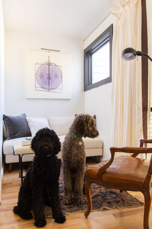 Media room loft design by Atlanta interior designer Kevin Francis O'Gara with the Queer Eye Kerswell futon, brown shag rug, and custom painting