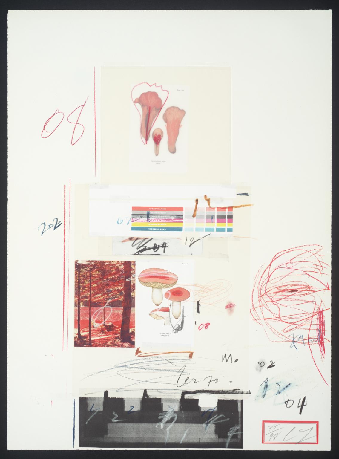 Cy Twombly abstract expressionist painter, Twombly's home in Rome and Gaeta on Kevin Francis Design