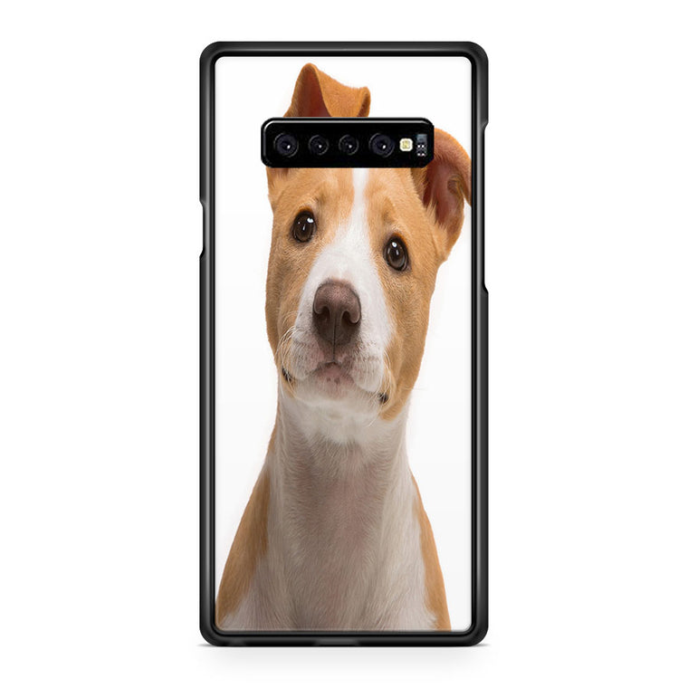 Happy Dog Samsung S10 Case