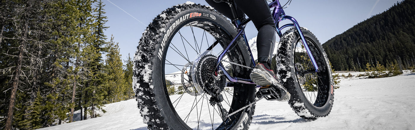 why a fat bike