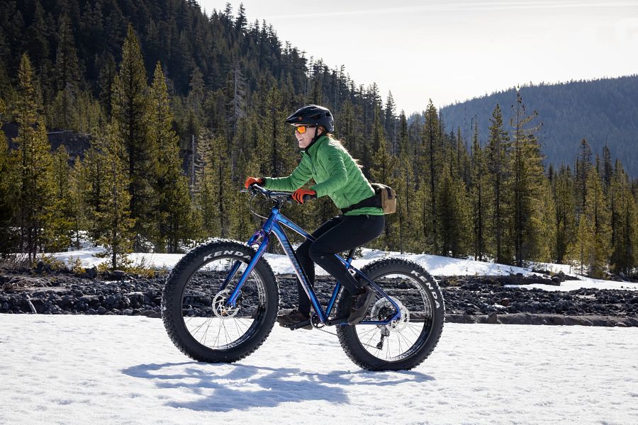 Argus Comp 26 Fat Tire Bike