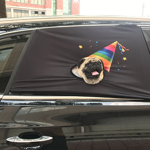 dog car window screen