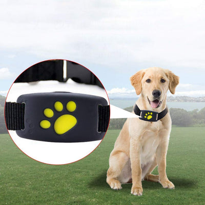 GPS Dog Collar - Buckle Dog Collars 