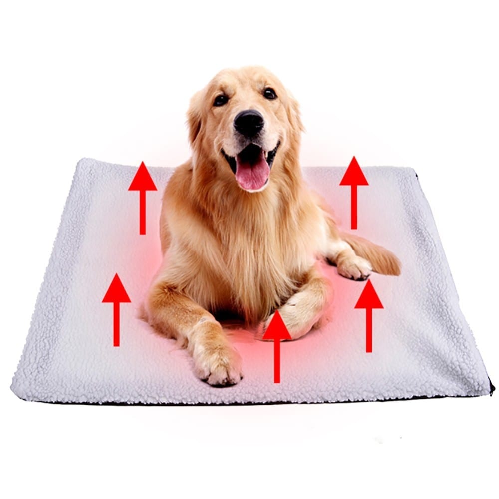 heated dog blanket