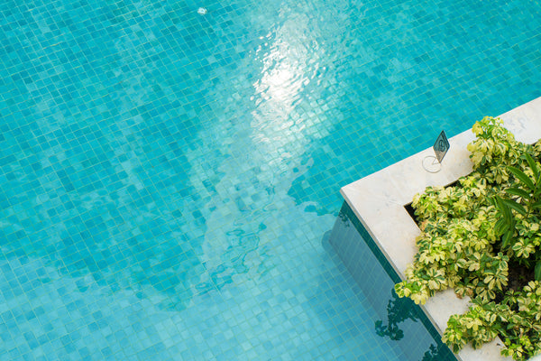 Top View of Swimming Pool with Blue Tiles