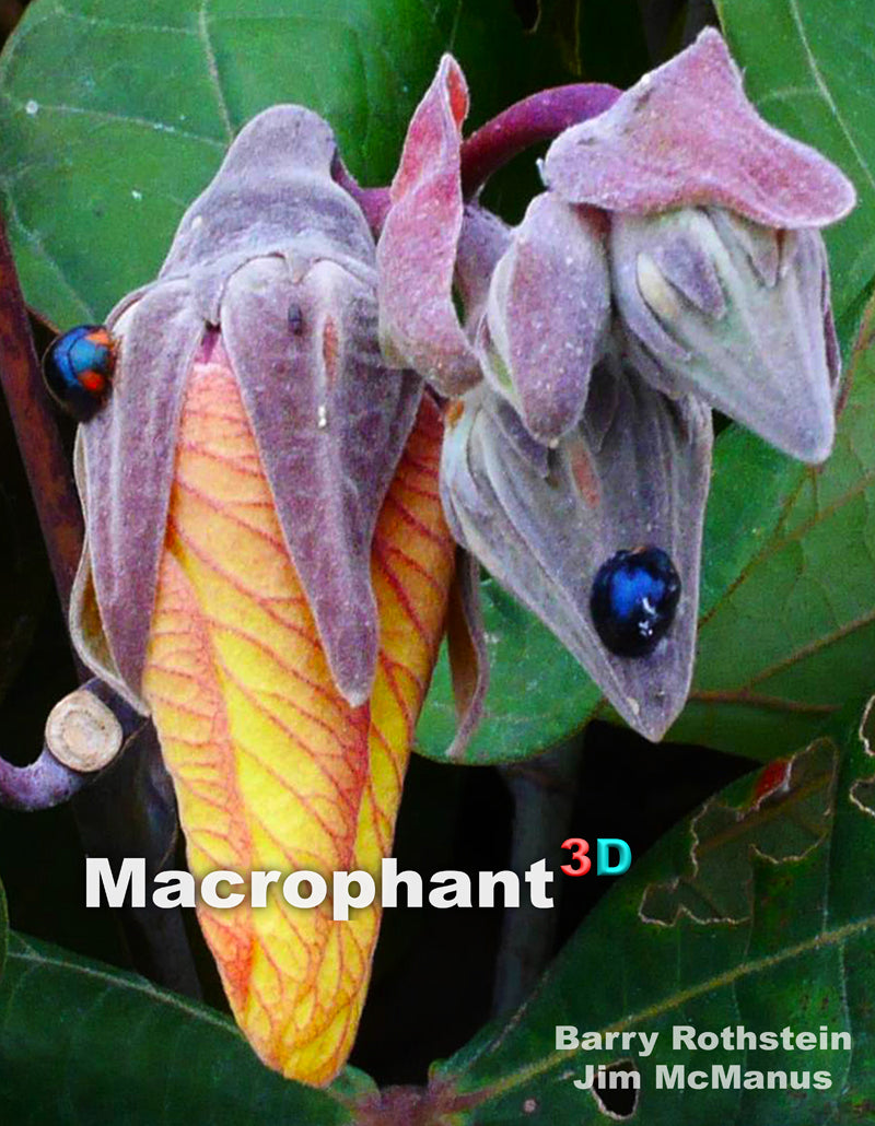 Macrophant 3D - Barry Rothstein and Jim McManus