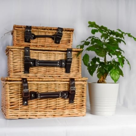 Gift Basket with Plant