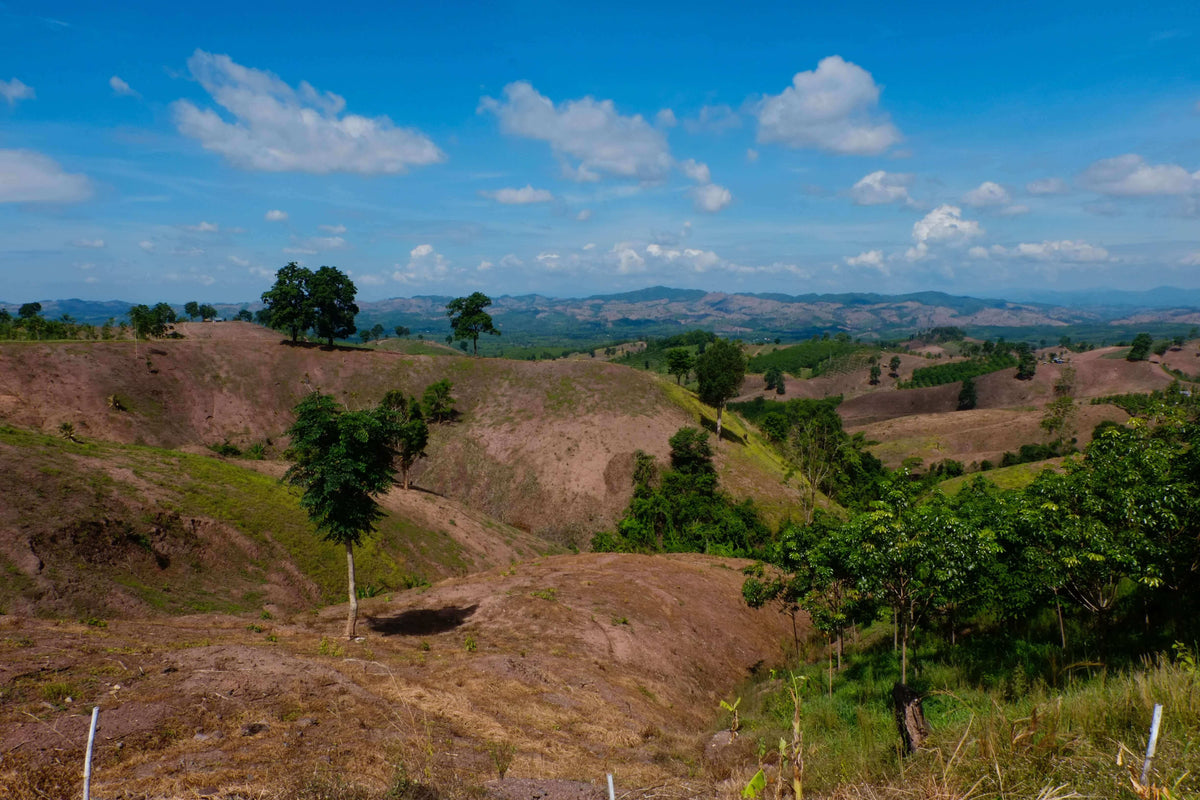 land degradation in thailand 