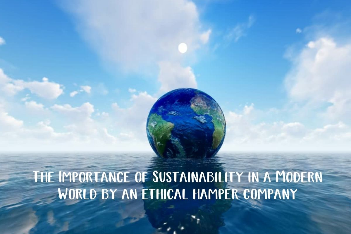 The Importance of Sustainability in a Modern World by an ethical hamper company