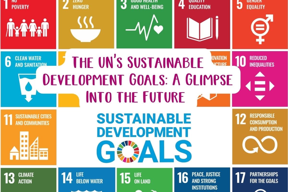 The UN's Sustainable Development Goals: A Glimpse Into the Future by a social enterprise gifting company 