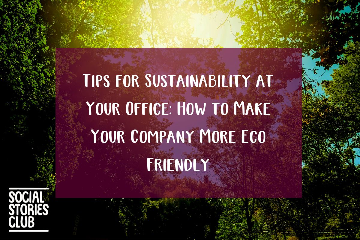 Tips for Sustainability at Your Office: How to Make Your Company More Eco Friendly and how ethical Christmas gifts play a role