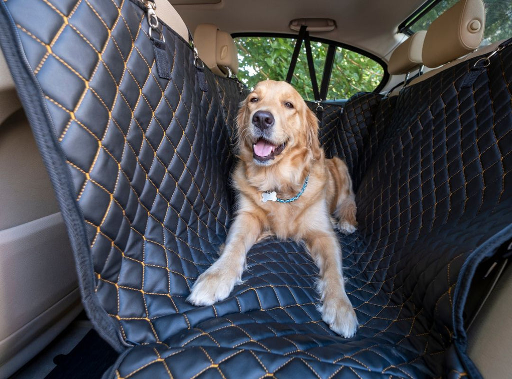 Beruhigung für Hunde während der Autofahrt: Was funktioniert wirklich?