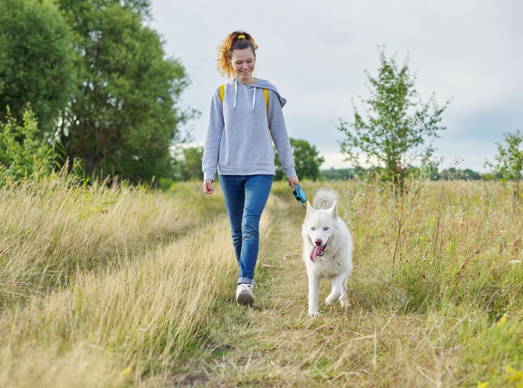 Frau geht mit Hündin spazieren. Läufigkeit bei Hunden.