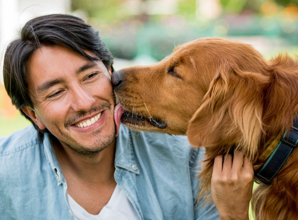 Hund leckt lächelnden Mann im Gesicht. Warum leckt mein Hund mich ständig ab.