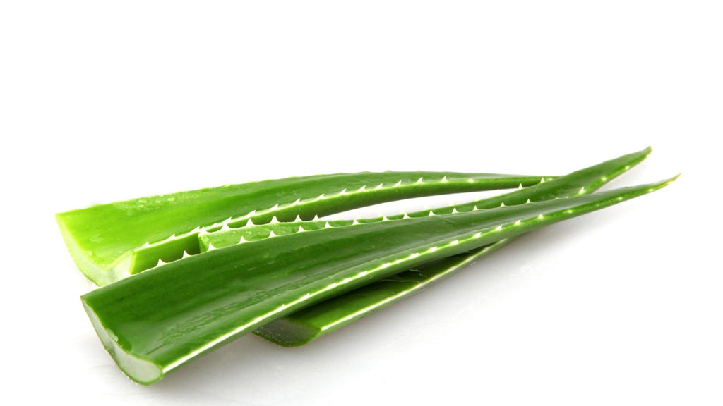 aloe vera and psoriasis