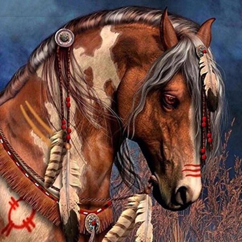 verkouden worden B.C. Justitie Indianen paard | Diamond painting – De Diamond Painter