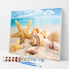 Seashells by the Shore Paint by Numbers Kit