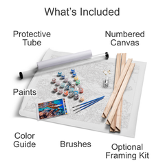 Items included in paint by numbers kit