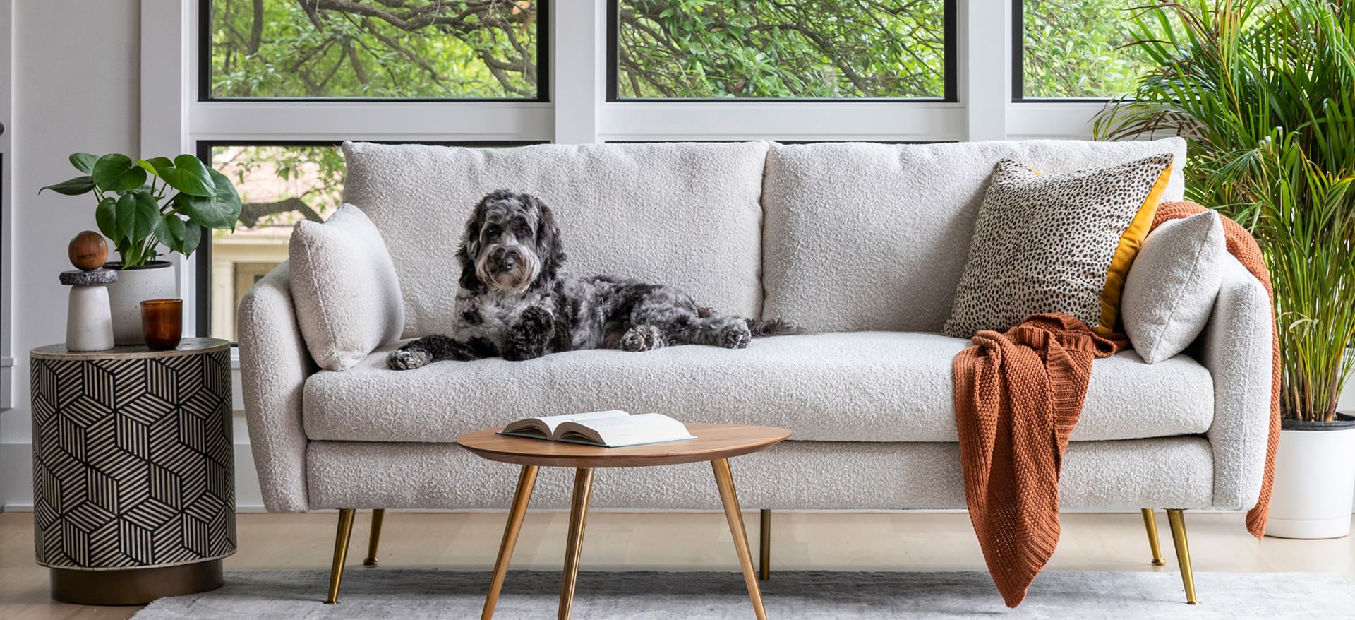 Pet-friendly sofas and armchairs | Albany Park