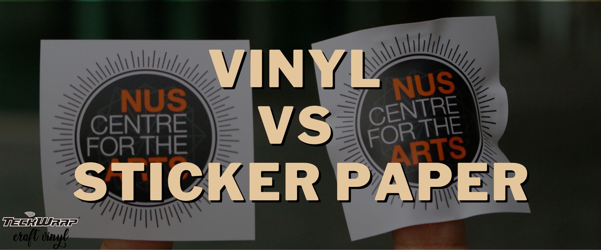 Vinyl vs Sticker Paper: Which One Should You Choose?– TeckwrapCraft