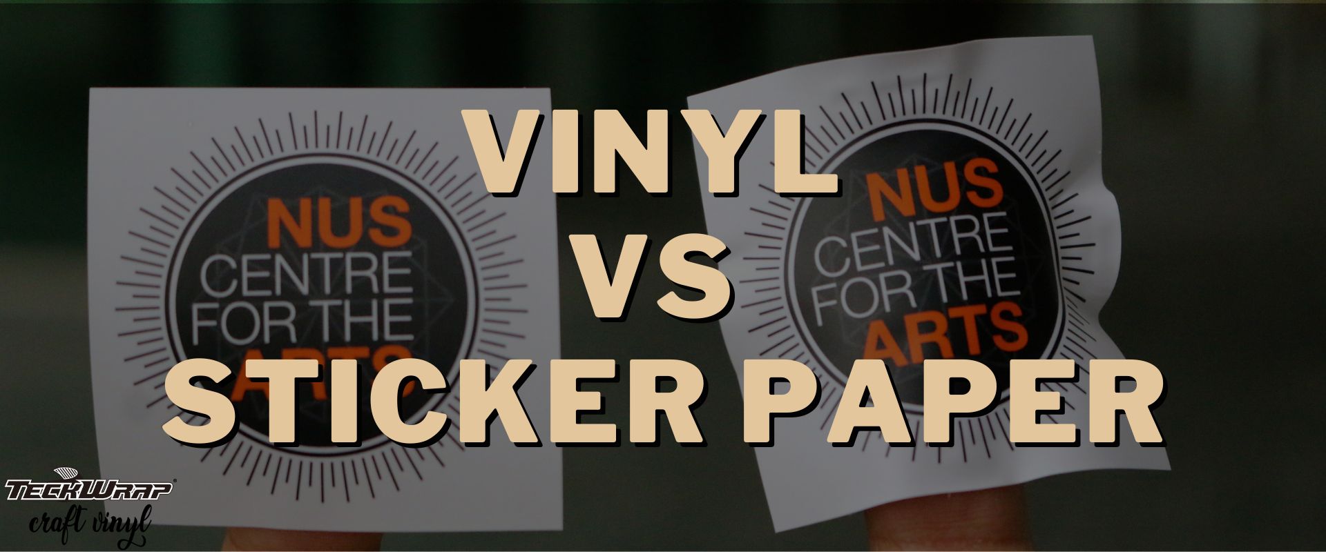 The Best Vinyl Paper For Stickers (Tips from a Professional) 