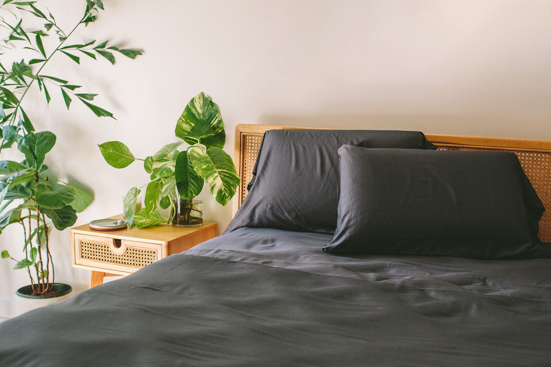 Image of Bamboo Sheet Set + Pillowcases