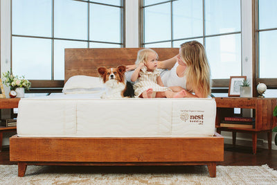 the nest bed