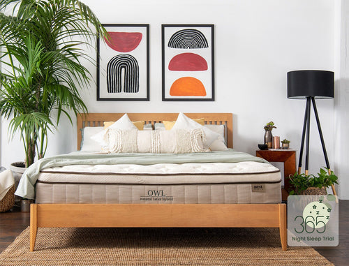 卧室猫头鹰床垫，床罩和365夜睡眠试验徽章