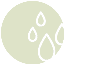 all natural essential oils logo