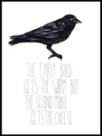 Poster: Early bird, by Sofie Rolfsdotter