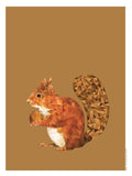 Poster: Squirrel, by Plurr - from skärgården with love