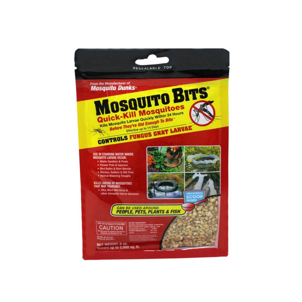 mosquito bits fungus gnats