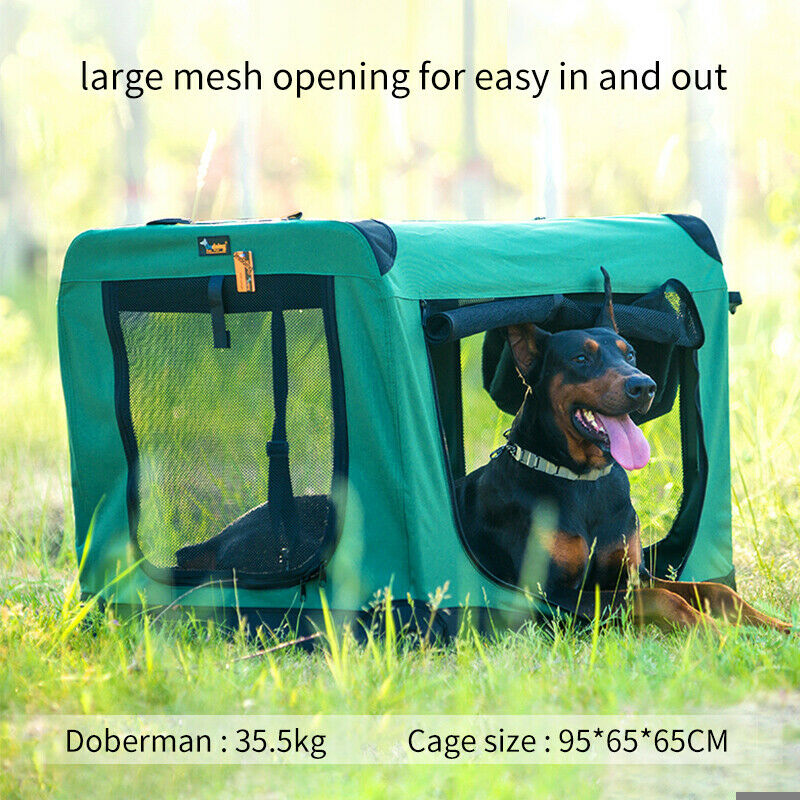 what size dog crate for a doberman