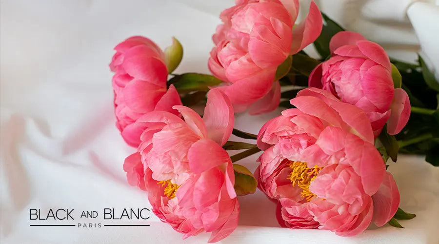 How-to-Make-Peonies-Open-Faster