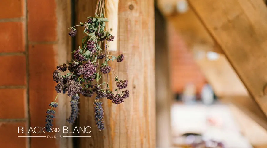 How-to-Store-Dried-Flowers