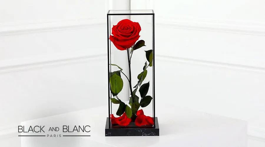 Packaging-of-Forever-Roses