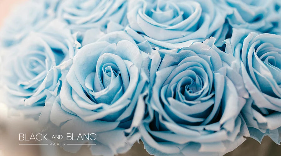 The-Meaning-And-Symbolism-Of-Blue-Roses